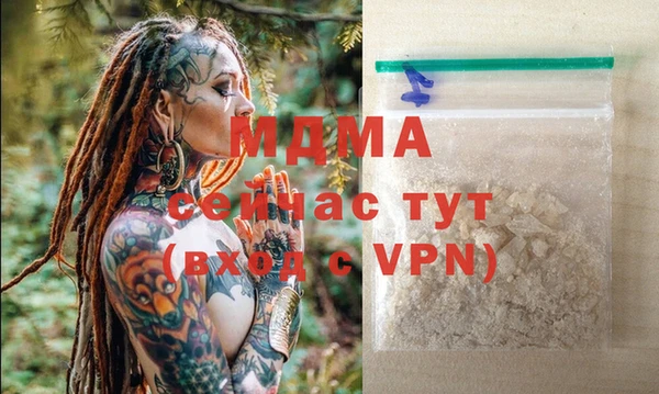 индика Алексин