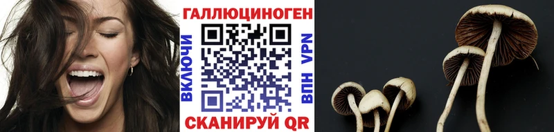 Галлюциногенные грибы Psilocybe  Белоусово 